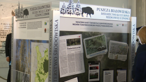 Marszałek Kuchciński otworzył wystawę „Puszcza Białowieska – lasy naturalne czy też dziedzictwo kulturowe miejscowej ludności” fot. ŚWIECZAK