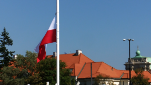 Obchody 25-lecia Straży Miejskiej m.st. Warszawy fot. ŚWIECZAK